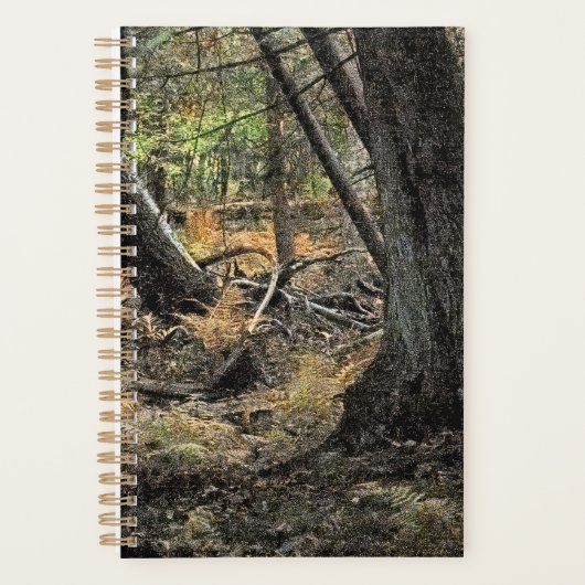 Scène de forêt automnale (Devant)