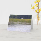 Scène de la nature des cartes de voeux (Fleur jaune)