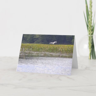 Scène de la nature des cartes de voeux
