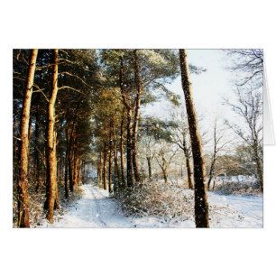 Scène de neige de la forêt gccna