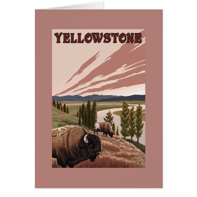 Scène de YellowstoneBison (Devant)