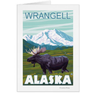 Scène d'orignaux - Wrangell, Alaska