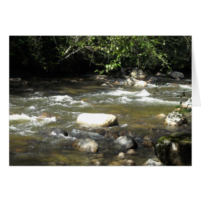 Scène fluviale (Devant Horizontal)