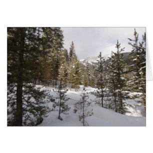 Scene hivernale de montagne neige au Montana