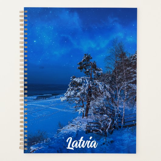 Scène hivernale nocturne avec pins enneigés (Devant)
