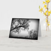 Scène Lac Noir Et Blanc Toute Carte D'Occasion (Fleur jaune)