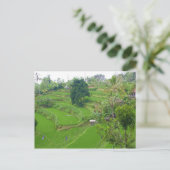 Scene of Bali Briefkaart (Staand voorkant)