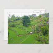 Scene of Bali Briefkaart (Voorkant / Achterkant)