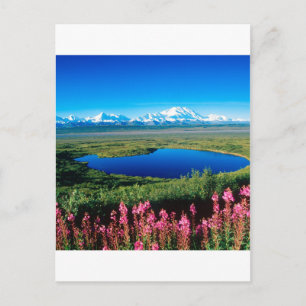 Scene Tundra Mount Mckinley Denali Alaska Briefkaart