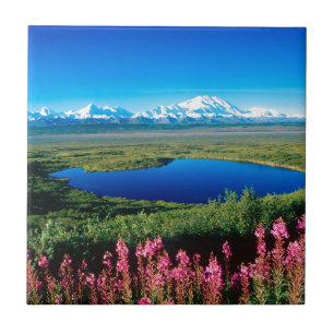 Scene Tundra Mount Mckinley Denali Alaska Tegeltje
