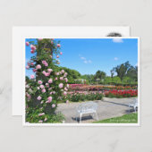 Scenery of Rose Garden ポストカード Briefkaart (Voorkant / Achterkant)