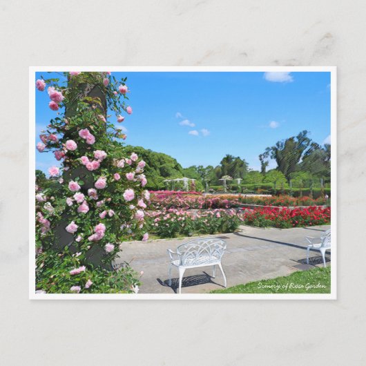 Scenery of Rose Garden ポストカード Briefkaart (Voorkant)