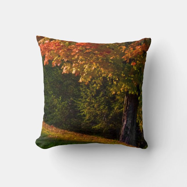 Scènes de Coussin du Foliage d'automne | Coussin A (Recto)