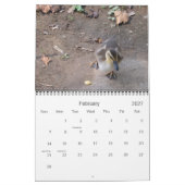 Scènes Du Calendrier Nature (Feb 2027)