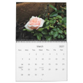 Scènes Du Calendrier Nature (Mar 2027)