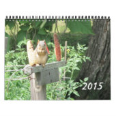 Scènes Du Calendrier Nature (Protection)