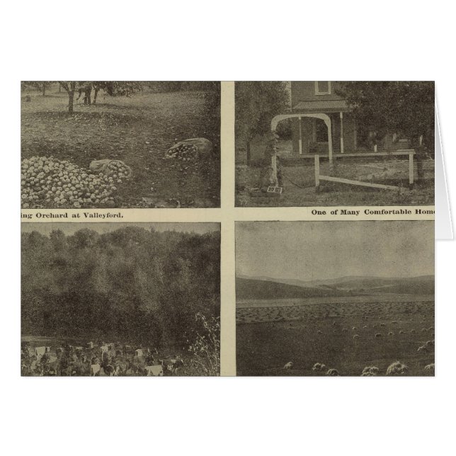 Scenes Inland Empire (Voorkant Horizontaal)