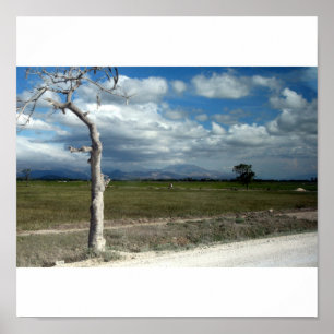 Scenes of Haiti Poster