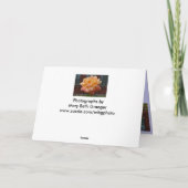 Scènes van Washington DC Kaart (Achterkant)