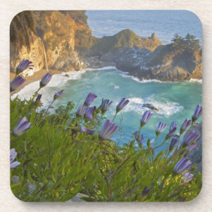 Scenic McWay Falls stort op het strand en Bier Onderzetter
