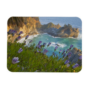 Scenic McWay Falls stort op het strand en Magneet