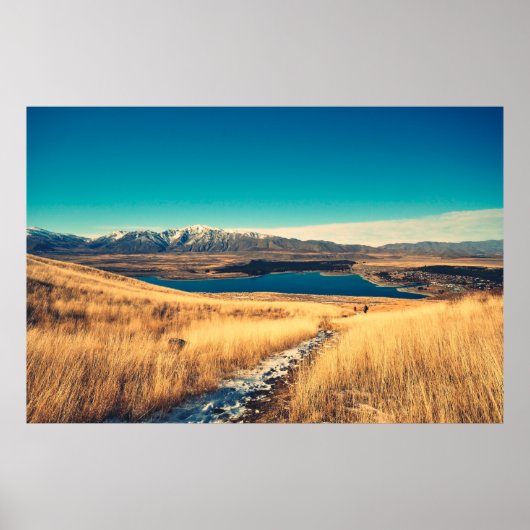 Scenic view in Mt. John summit view point,  Lake T Poster (Voorkant)