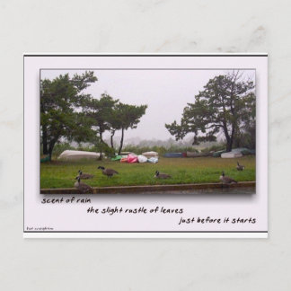 Scent van regen briefkaart