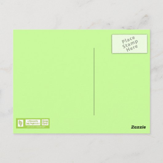 Scented Cream-Roos Briefkaart (Achterkant)