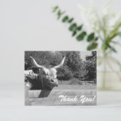 Sceptische Koe Dank u Briefkaart (Staand voorkant)