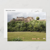 schaafschaap briefkaart (Voorkant / Achterkant)