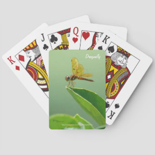 Schaakbord met oranje libel pokerkaarten