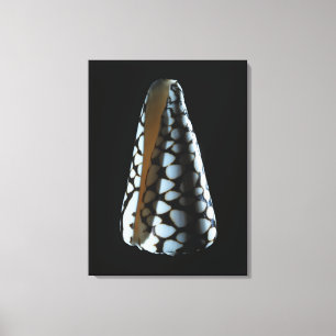 Schaal 2 canvas afdruk