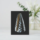 Schaal van één stuk 2 briefkaart (Staand voorkant)