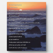 Schaalbedden Plaque Fotoplaat (Voorkant)