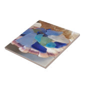 Schaaldop met Zeeen glas Tegeltje (Zijkant)