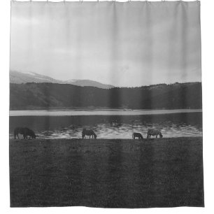 SCHAALGRAY FOTOGRAFIE VAN DIEREN DOUCHEGORDIJN