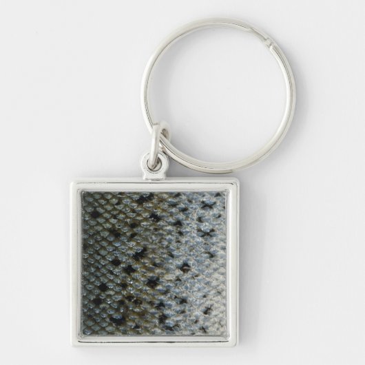 Schaalvis 2 sleutelhanger (Voorkant)