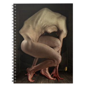 Schaamte 2012 notitieboek