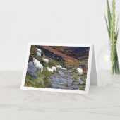 Schaap bij het meer kaart (Voorkant)