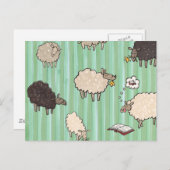 Schaap Briefkaart (Voorkant / Achterkant)