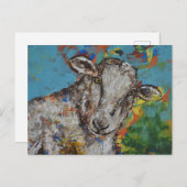 Schaap Briefkaart (Voorkant / Achterkant)