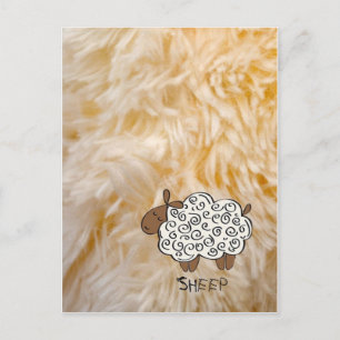 Schaap Briefkaart