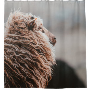 SCHAAP DOUCHEGORDIJN