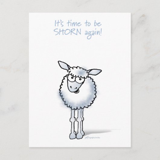Schaap: Het is tijd om weer geschoren te worden! Briefkaart (Voorkant)