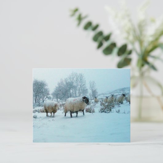 Schaap in Sneeuw Winter Scène Acryl Legpuzzel Briefkaart (Staand voorkant)