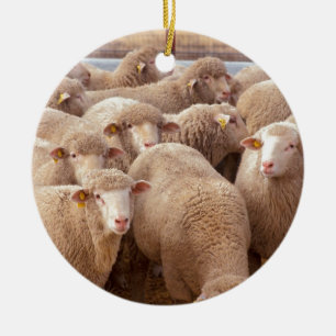 Schaap Keramisch Ornament