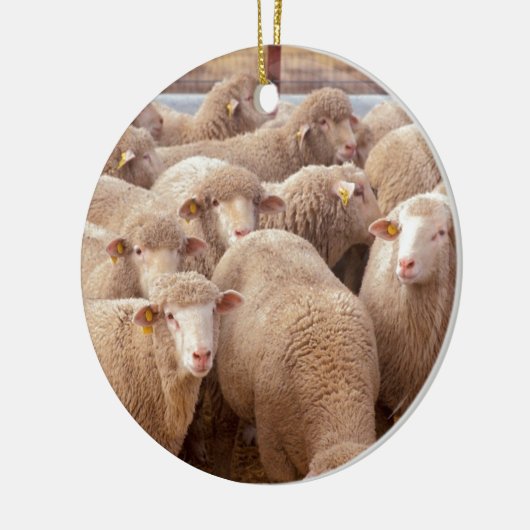 Schaap Keramisch Ornament (Links)
