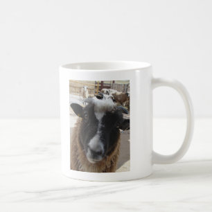 Schaap Koffiemok
