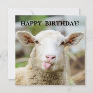 Schaap laat tong zien feestdagenkaart