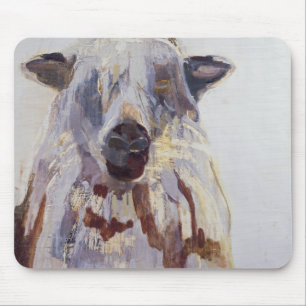 Schaap Muismat